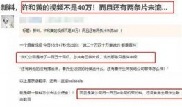 香港的士司机爆料视频,揭秘城市交通背后的真实故事